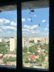 ��������� �������� ³�����, ³�������, ����`���� ���� 11