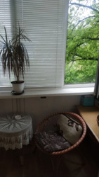 ��������� �������� ³�����, ³�������, ������� ���� 6