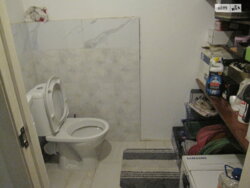 ��������� �������� ³�����, ³�������, ���������� ���� 11