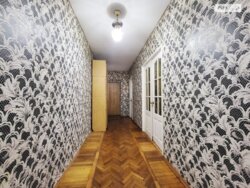 ��������� �������� ³�����, ³�������, �������� ���� 19