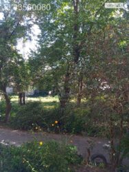 ��������� �������� ³�����, ³�������, ����`���� ���� 11