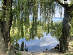 Продається квартира Марії Приймаченко, Вінниця, Вінницька, Старе місто фото 1 Продається квартира Марії Приймаченко, Вінниця, Вінницька, Старе місто фото 1