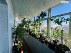 ��������� �������� ϳ������, 145, ³�����, ³������� ���� 12