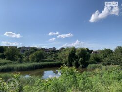 ��������� �������� ���. ����� ����������, ³�����, ³�������, ����� ���� ���� 4