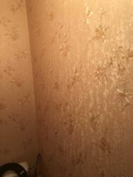 ��������� �������� ³�����, ³�������, ����`���� ���� 19