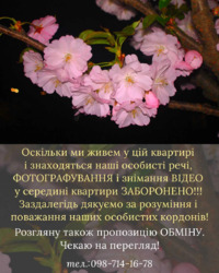 ��������� �������� ³�����, ³�������, �������� ���� 8