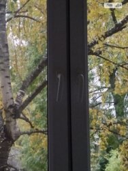 ��������� �������� �������� ������, ³�����, ³�������, ������� ���� 5