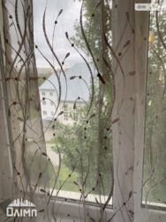 ��������� �������� ³�����, ³�������, �������� ���� 5