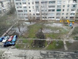 ��������� �������� ³�����, ³������� ���� 13