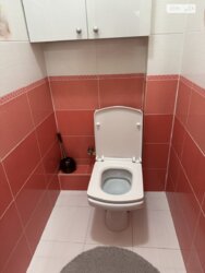 ��������� �������� ³�����, ³������� ���� 28