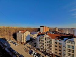 ��������� �������� ³�����, ³�������, ������ ���� 17