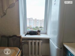 ��������� �������� ���. ����� ���������, ³�����, ³�������, ������������� ���� 5