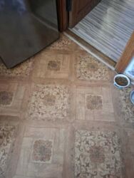 ��������� �������� ³�����, ³�������, ����`���� ���� 7