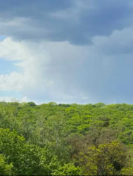 Продається квартира Вінниця, Вінницька, Київська фото 10 Продається квартира Вінниця, Вінницька, Київська фото 10