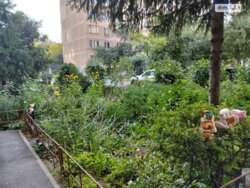 ��������� �������� ³�����, ³�������, ������������� ����� ���� 3