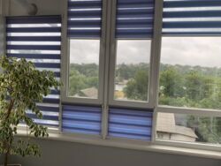 ��������� �������� ³�����, ³�������, ������������� ����� ���� 17