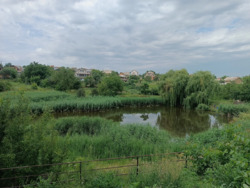 Продається квартира Вінниця, Вінницька, Староміський фото 11 Продається квартира Вінниця, Вінницька, Староміський фото 11