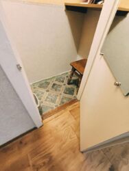 ��������� �������� ���������, ³�����, ³�������, ������� ���� 7