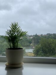 ��������� �������� ³�����, ³�������, ������������� ����� ���� 18