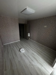 ��������� �������� ³�����, ³�������, ������ ���� 17