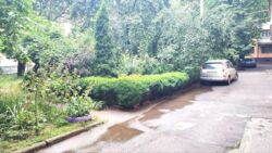 ��������� �������� ³�����, ³�������, ������� ���� 3