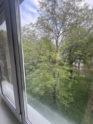 ��������� �������� ³�����, ³�������, �������� ���� 17