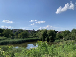 Продається квартира Вінниця, Вінницька, Вишенька фото 2 Продається квартира Вінниця, Вінницька, Вишенька фото 2