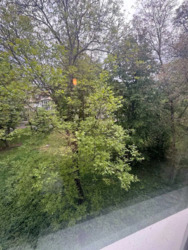 ��������� �������� ³�����, ³�������, �������� ���� 16