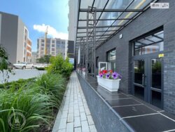 ��������� �������� ���. ����� ������, ³�����, ³�������, ���������� ���� 8