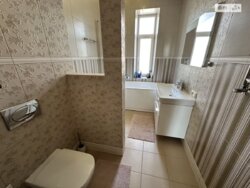 ��������� �������� ³�����, ³�������, ����� ���� 13