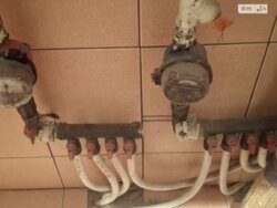 ��������� �������� ³�����, ³�������, �������� ���� 18