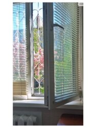 ��������� �������� ³�����, ³�������, �������� ���� 4