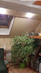 ��������� �������� ����� ����������� ��., 18, ���, �������������, ����� (�������������) ���� 4