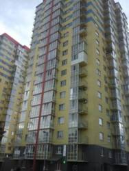  5- 2-   (18-19 )           1