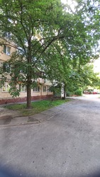 Продається квартира Остафія Дашкевича вул. (Курнатовського), 2а, Київ, Дніпровський, м. Чернігівська фото 19 Продається квартира Остафія Дашкевича вул. (Курнатовського), 2а, Київ, Дніпровський, м. Чернігівська фото 19