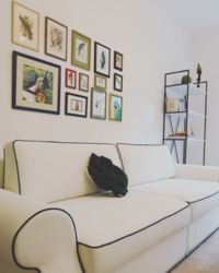 2-  ,    22,  ,     1