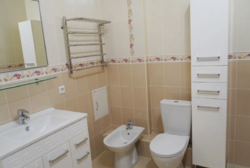   , , ,   ., 17, .   3