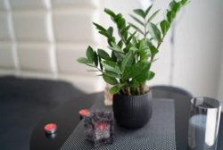 Предлагаю Вашему вниманию 3-к. квартиру на Позняках (Драгоманова 2) фото 5 Предлагаю Вашему вниманию 3-к. квартиру на Позняках (Драгоманова 2) фото 5