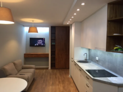 Продам 1-к квартиру с дизайнерским ремонтом на Печерске возле м.Лыбидская!!! фото 2 Продам 1-к квартиру с дизайнерским ремонтом на Печерске возле м.Лыбидская!!! фото 2