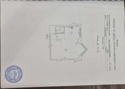   53.3 . .    Delmar  5