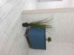 ������ 2� ��������� �������� � ����� ��, 81/38/12 �� 20 �����. ������� ����������, �������, ������ ��������. ����������, ���������� ����� � ������� ��������, ������ 8��.�. ������ ����������, ��������, ��������. ���� 4