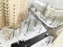 ������ 3-� ���. �������� � ����� ���� �� ���������, ����� ����� ���� 11