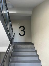  1.   . ,  ''  5