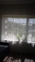 В продаже гостинка станция метро Академика Павлова с видом на озеро фото 2 В продаже гостинка станция метро Академика Павлова с видом на озеро фото 2