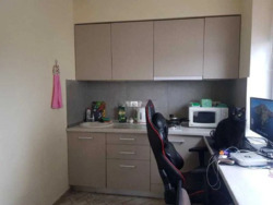 ��������� �������� ���� 55 ��., 55, �����, ���������, ��������, ���������� ���., �. ����������� ���� 2