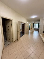 ‼️������� 2 ���‼️ ��������,���,���������,����������,�������� �������� ���� 15