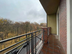 ��������� �������� ������������� ��., �����, ���������, �������������, ����������, �. 23 ������ ���� 19