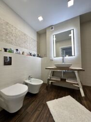 ��������� �������� ������������ �����, 55, �����, ���������, ��������������, �������� ����, �. ������� ���� ���� 4