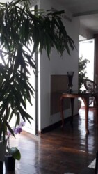 ��������� �������� ��������� �������� ��., 5, �����, ���������, ��������, ���������, �. ����������� ���� 2