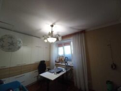 ��������� �������� ����� ��., 31�, �����, ���������, �������������, ������� �����, �. ���������� ��� ���� 10